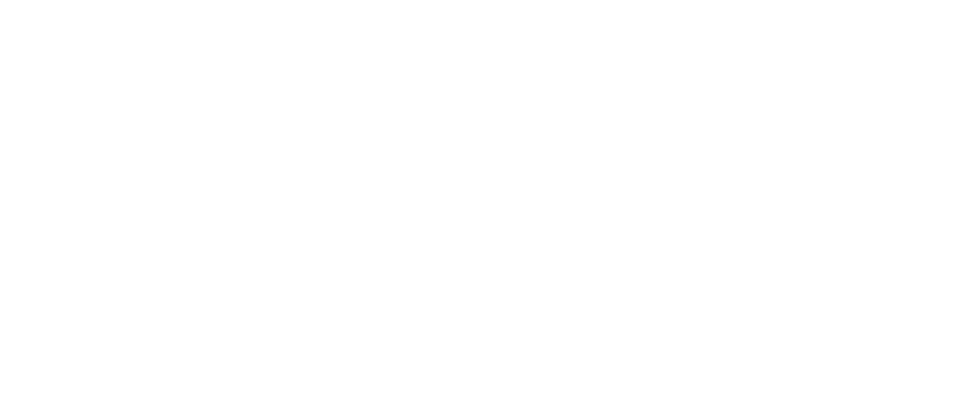 Mozo 360
